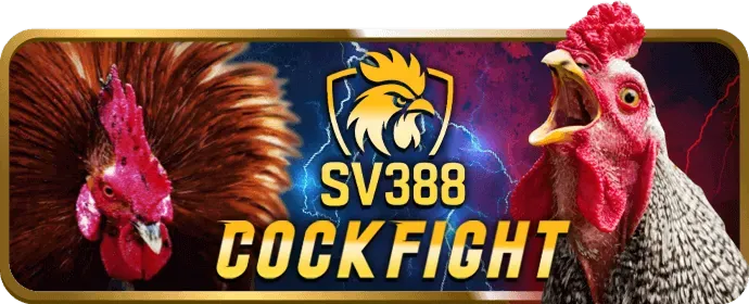 Hình ảnh các hành vi bị cấm trên j88vip1 app